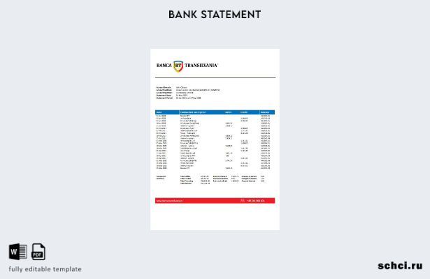 скачать цифровую версию шаблона Excel банковской выписки Румыния Banca Transilva